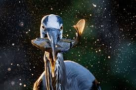 Top Stories Today: What You Need to Know